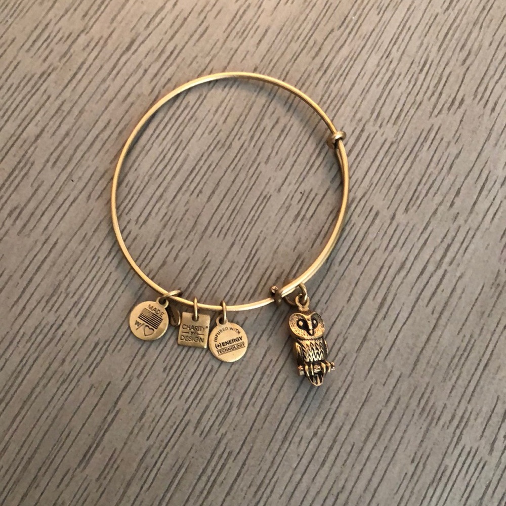 Alex and Ani Owl Bracelet